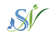 Spring Native Skincare logo