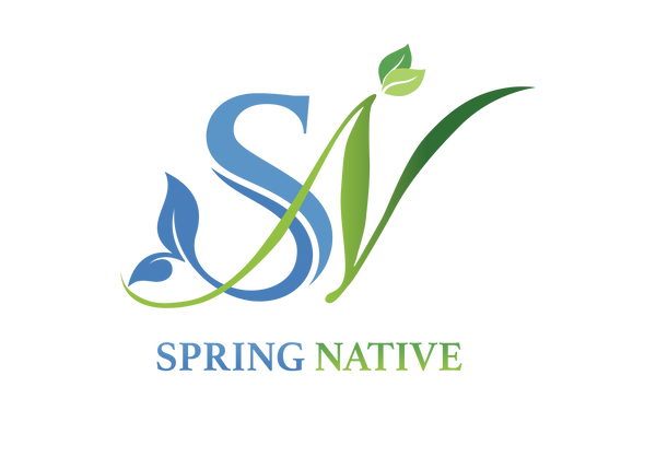 Spring Native